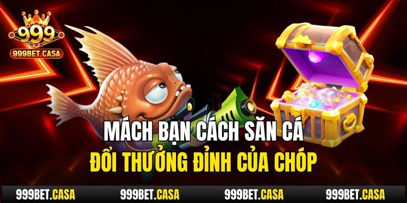 Mách bạn cách săn cá đổi thưởng đỉnh của chóp